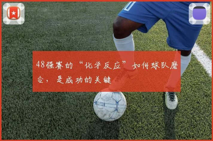 48强赛的“化学反应”如何球队磨合，是成功的关键