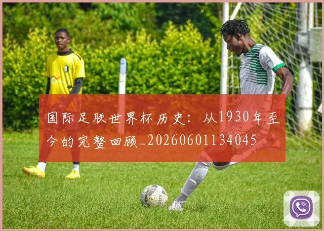 国际足联世界杯历史：从1930年至今的完整回顾_20260601134045