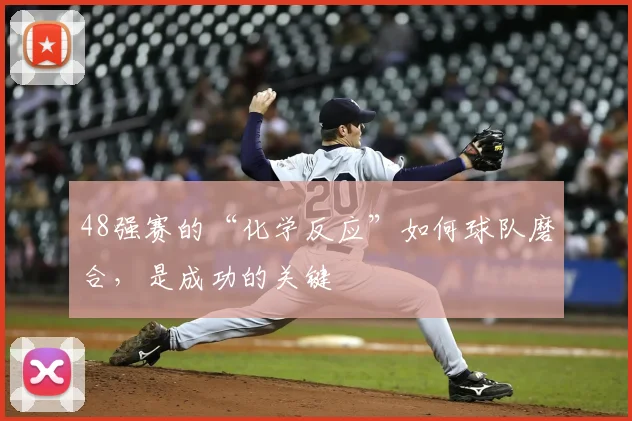 48强赛的“化学反应”如何球队磨合，是成功的关键